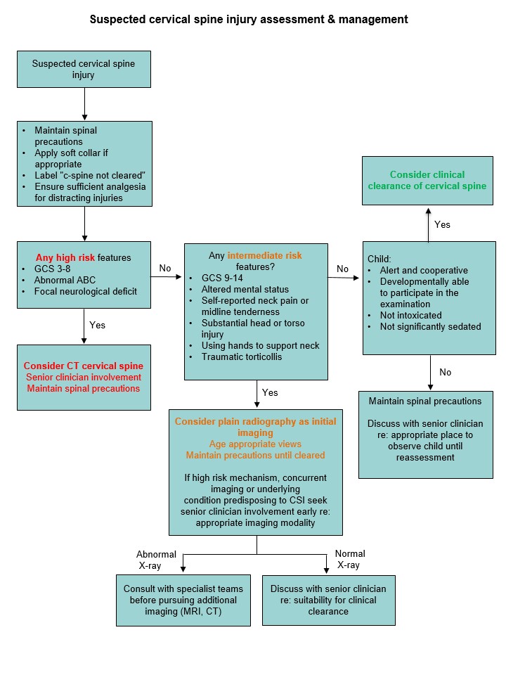 CPG Cervical spine assessment flowchart_upload_July2026